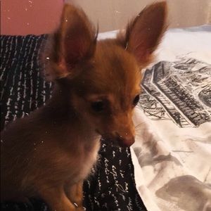 Meet your Posher, Yvette